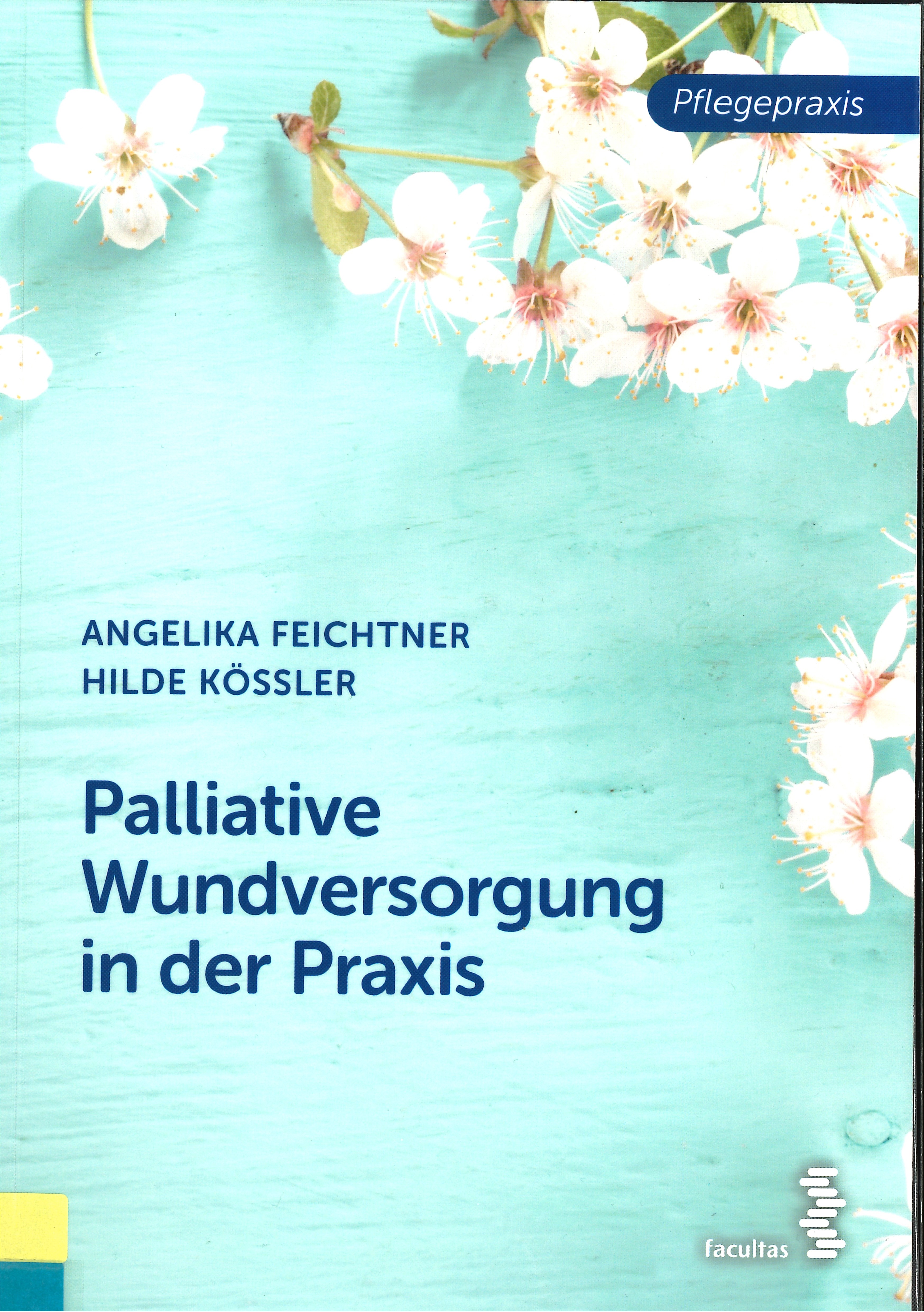 Palliative Wundversorgung in der Praxis